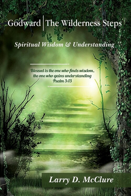 Godward The Wilderness Steps: Spiritual Wisdom and Understanding (Paperback)