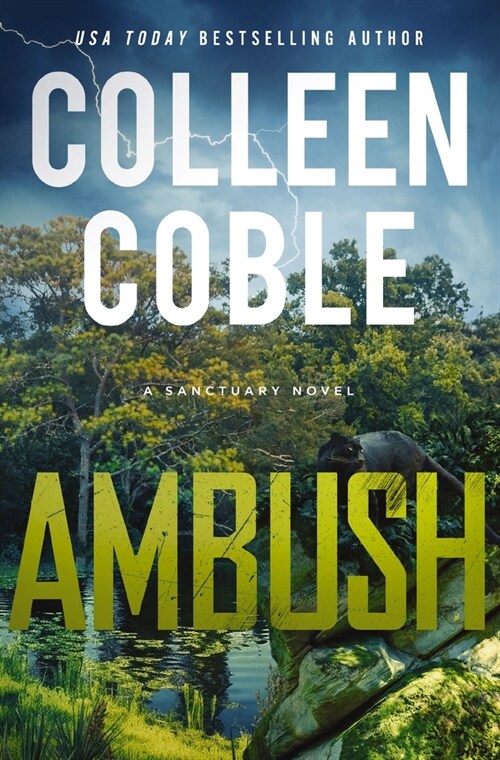 Ambush (Hardcover)