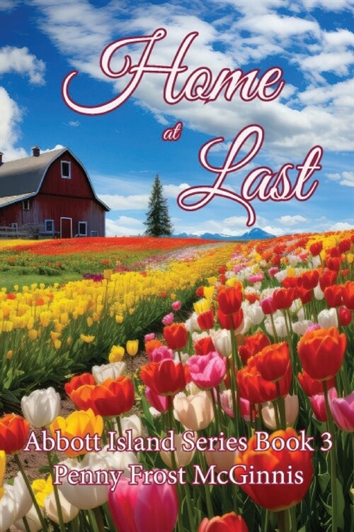 Home At Last (Paperback)