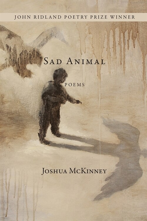 Sad Animal (Paperback)