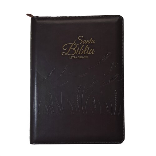 Santa Biblia (Hardcover)