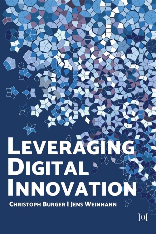 Leveraging Digital Innovation: Lessons for Implementation (Paperback)