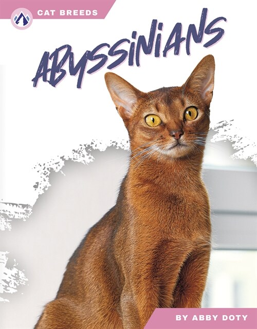 Abyssinians (Paperback)