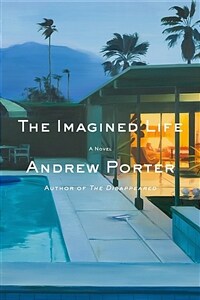 The Imagined Life (Hardcover)