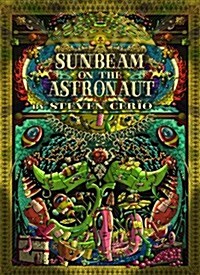 Sunbeam on the Astronaut (Paperback)