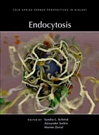 Endocytosis (Hardcover)