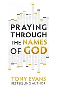 Praying Through the Names of God (Paperback)