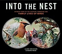 Into the Nest: Intimate Views of the Courting, Parenting, and Family Lives of Familiar Birds (Paperback)