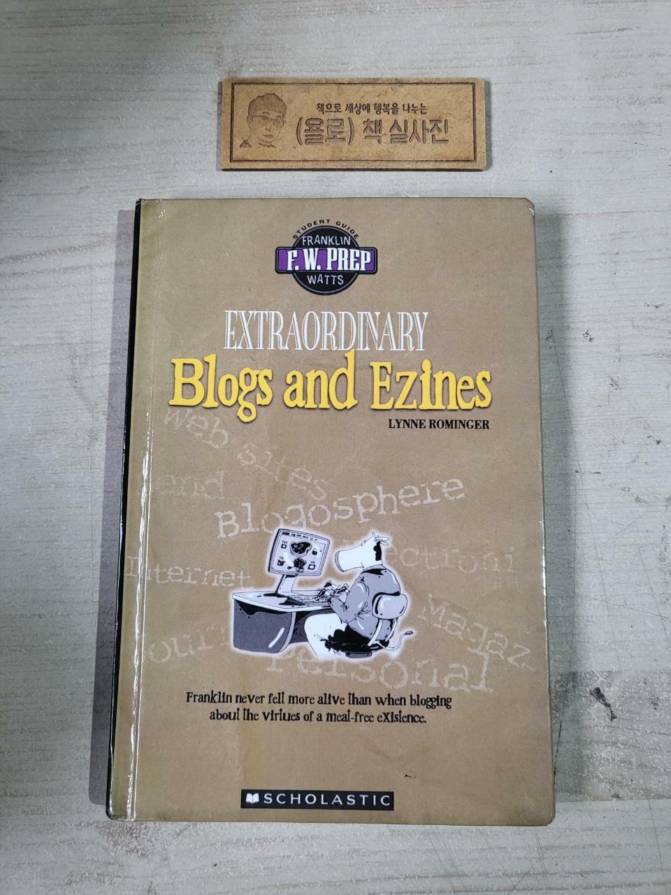 [중고] Extraordinary Blogs And Ezines (Paperback)