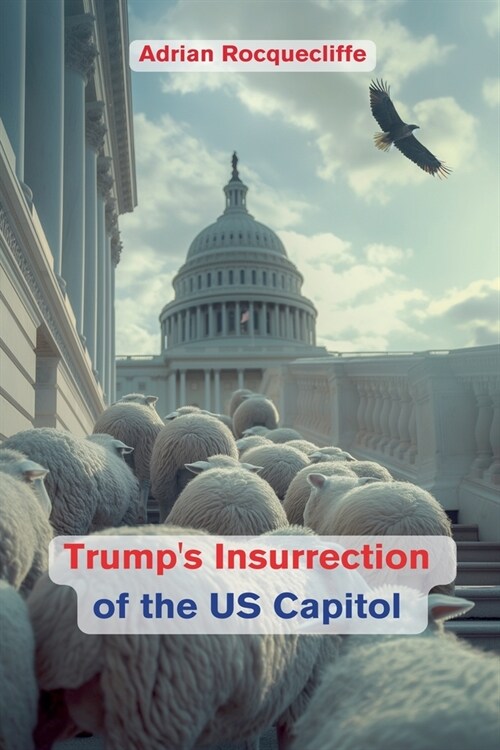 Trumps Insurrection of the US Capitol (Paperback)