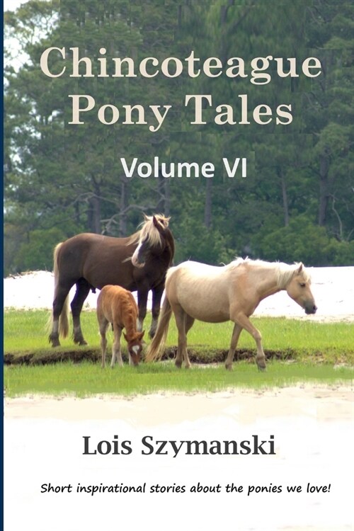 Chincoteague Pony Tales: Volume VI (Paperback)