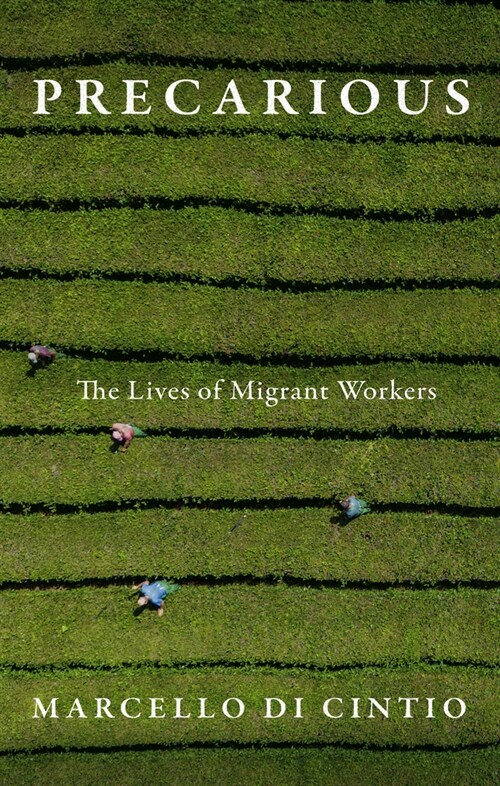 Precarious: The Lives of Migrant Workers (Paperback)