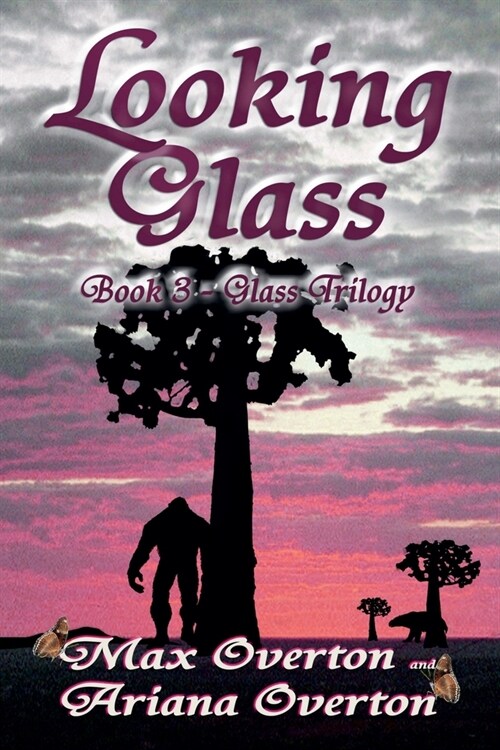 Looking Glass (Paperback)