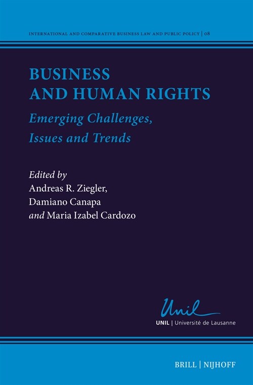 Business and Human Rights: Emerging Challenges, Issues, and Trends (Hardcover)