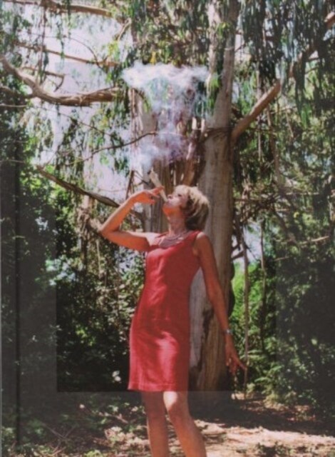 Jean-Luc a Fournier - Eucalyptus (Hardcover)