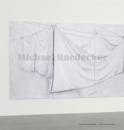 Michael Raedecker (Hardcover)