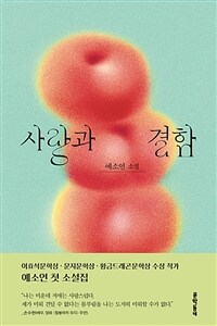 사랑과 결함 : 예소연 소설 표지이미지