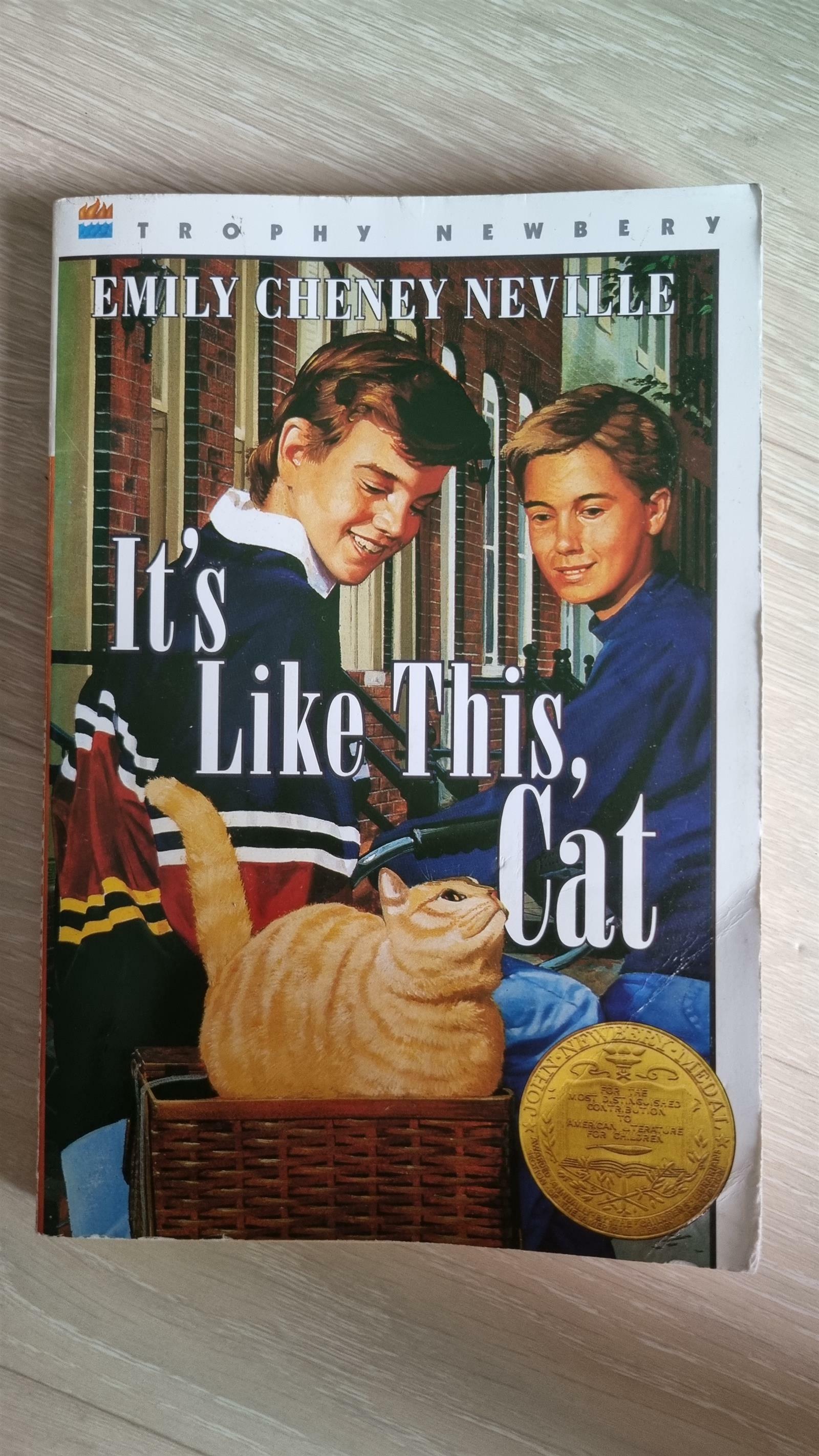 [중고] It‘s Like This, Cat (Paperback)