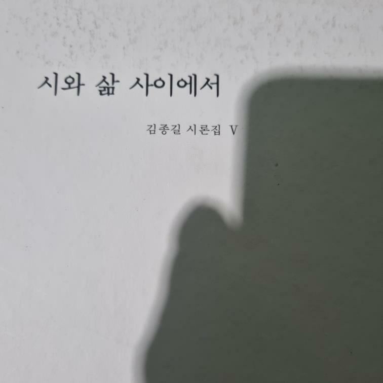 [중고] 시와 삶 사이에서