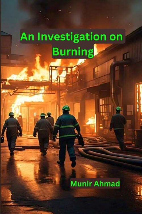 An investigation on Burning (Paperback)