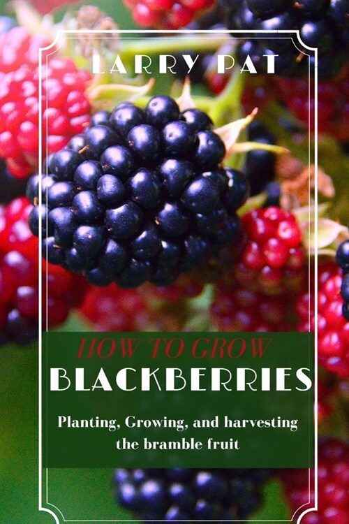 How to Grow Blackberries: Planting, Growing, and harvesting the bramble fruit (Paperback)