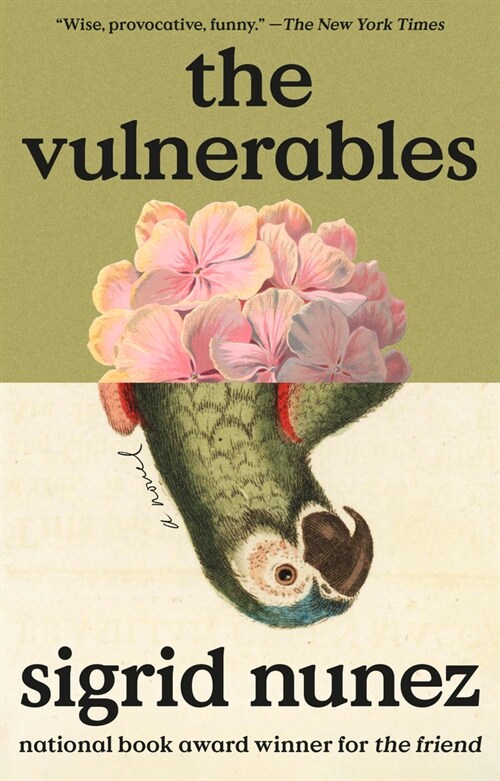 The Vulnerables (Paperback)