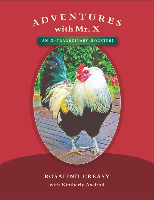 Adventures with Mr. X: An X-Traordinary Rooster! (Paperback)
