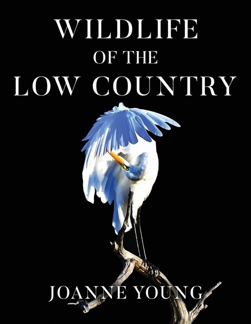 Wildlife of the Low Country (Paperback)