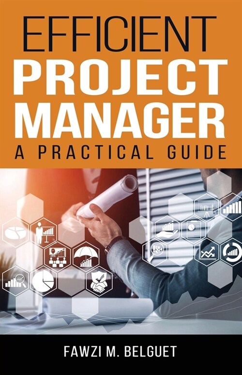 Efficient PROJECT MANAGER: A Practical Guide (Paperback)