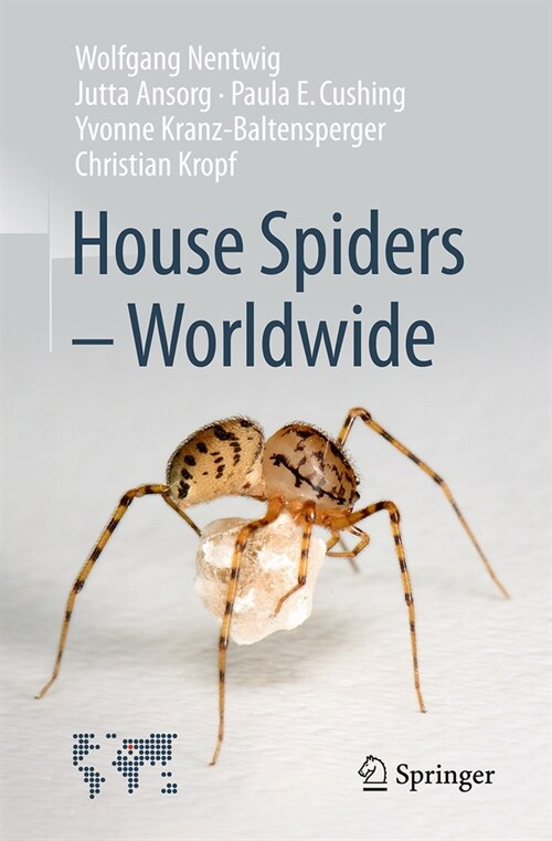 House Spiders - Worldwide (Paperback, 2024)