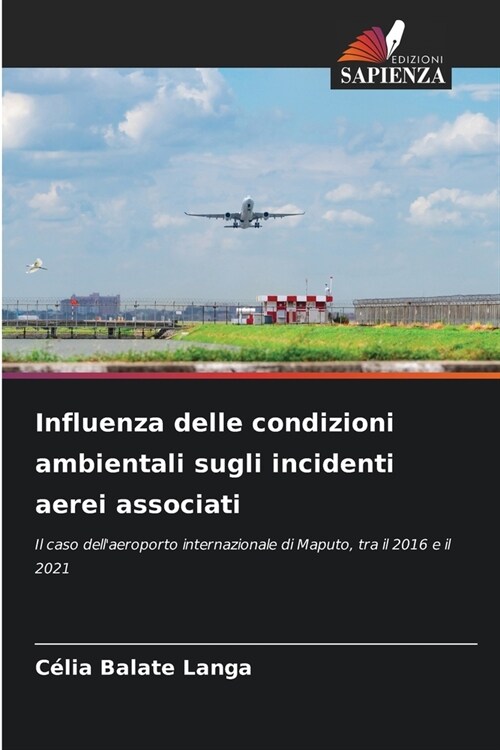 Influenza delle condizioni ambientali sugli incidenti aerei che coinvolgono gli uccelli (Paperback)