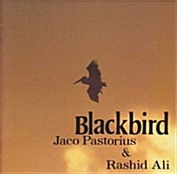 [수입] Jaco Pastorius - Blackbirds (Remastered)(Ltd. Ed)(일본반)(CD)