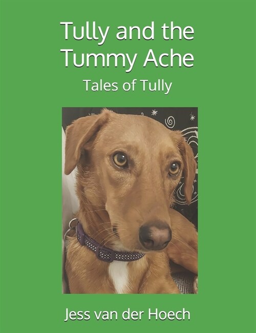 Tully and the Tummy Ache (Paperback)