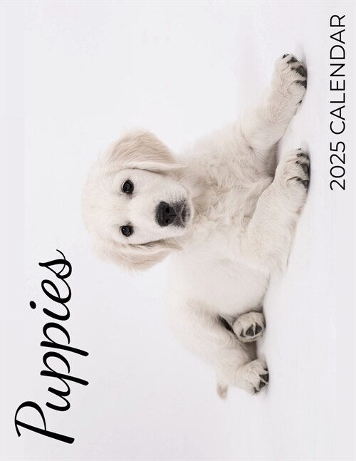 Puppies 2025 Calendar: 2025 Calendar (Paperback)