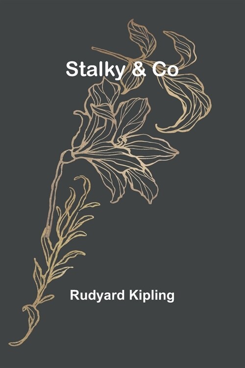 Stalky & Co (Paperback)