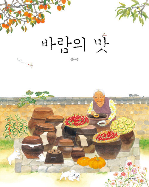 바람의 맛