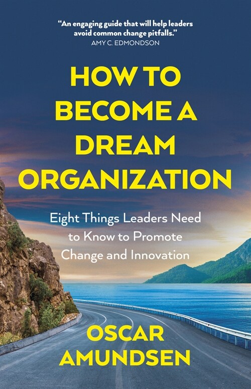 How to Become a Dream Organization : Eight Things Leaders Need to Know to Promote Change and Innovation (Paperback)