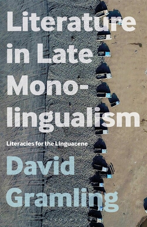 Literature in Late Monolingualism : Literacies for the Linguacene (Paperback)