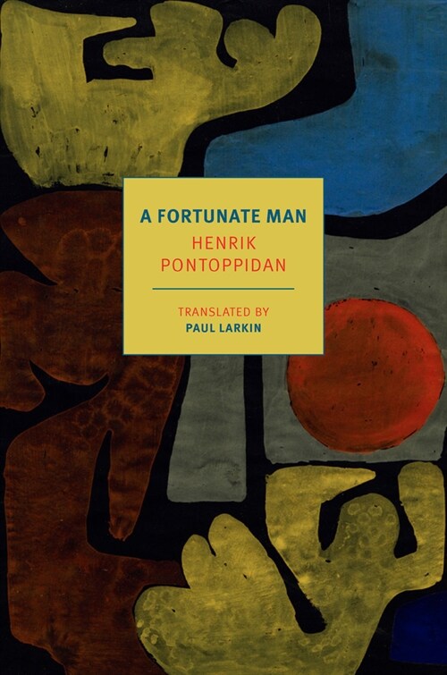 A Fortunate Man (Paperback)