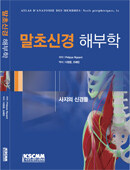 말초신경 해부학
