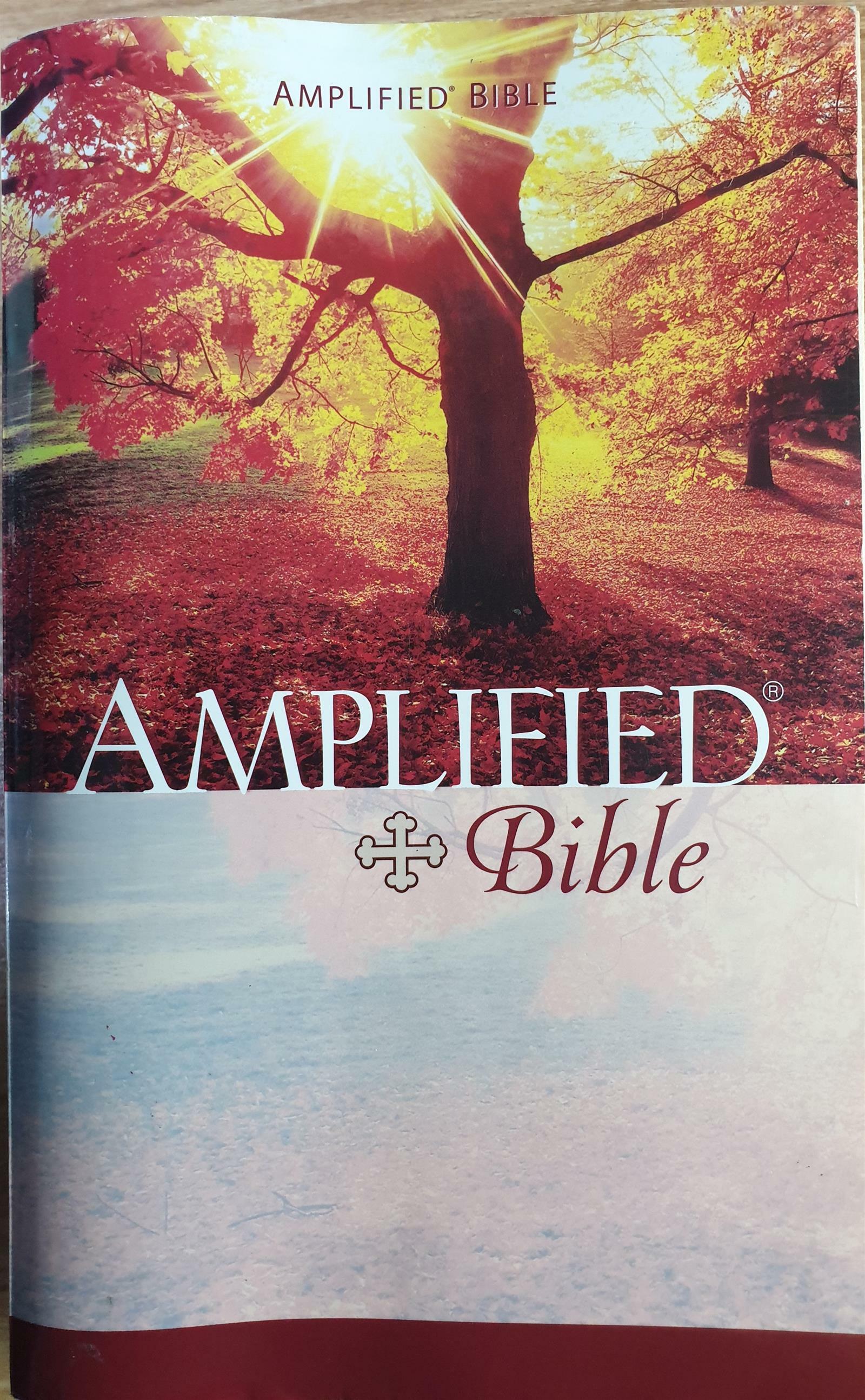 [중고] Amplified Bible-Am-Compact (Hardcover)