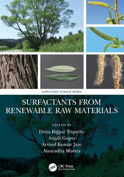 Surfactants from Renewable Raw Materials (Paperback, 1)