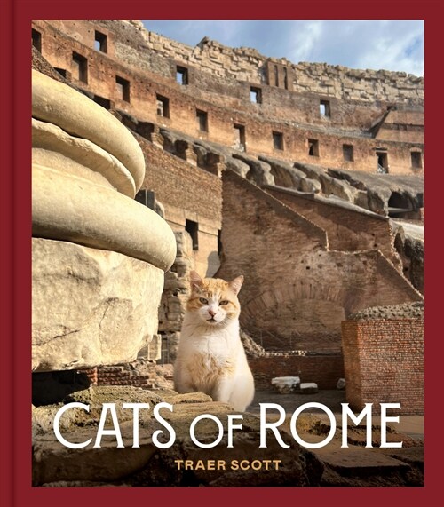 Cats of Rome (Hardcover)