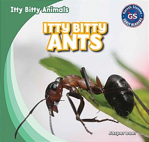 Itty Bitty Ants (Library Binding)