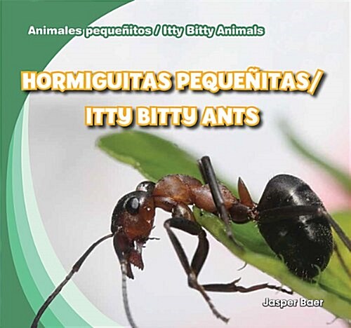 Hormiguitas Peque?tas / Itty Bitty Ants (Library Binding)