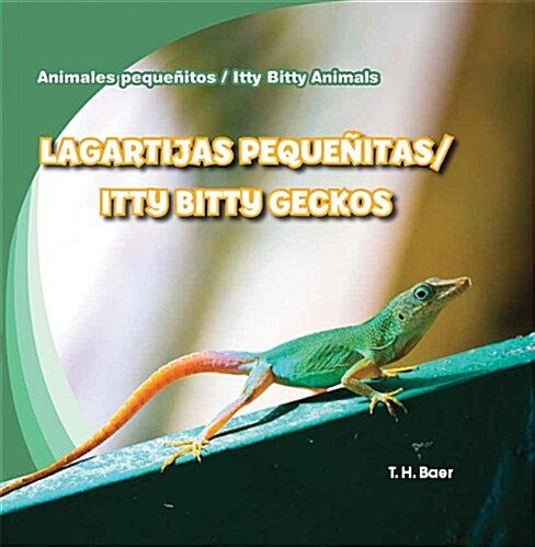 Lagartijas Peque?tas / Itty Bitty Geckos (Library Binding)