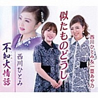 [수입] Nishikawa Hitomi (니시카와 히토미) - 似たものどうし (CD)