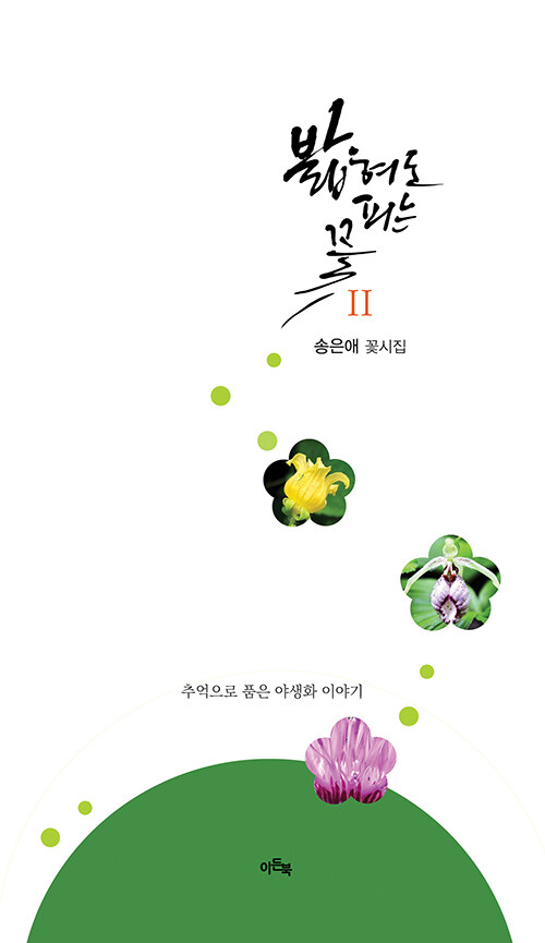 밟혀도 피는 꽃 2