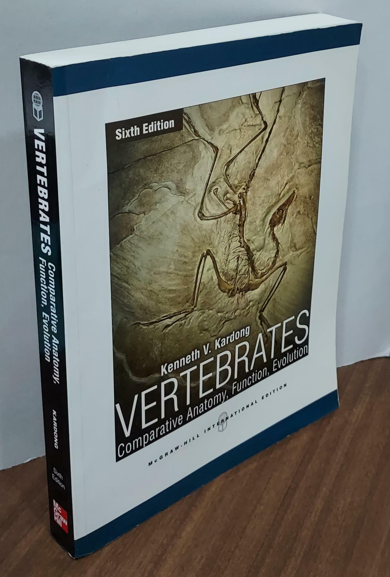 [중고] Vertebrates: Comparative Anatomy, Function, Evolution (Paperback)