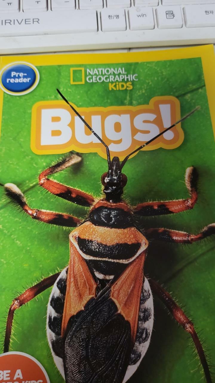 [중고] National Geographic Kids Readers: Bugs (Prereader) (Paperback)